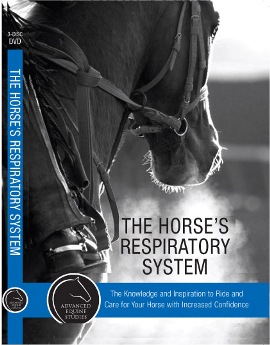 HORSES RESPIRATORY SYSTEM: ADVANCED EQUINE STUDIES